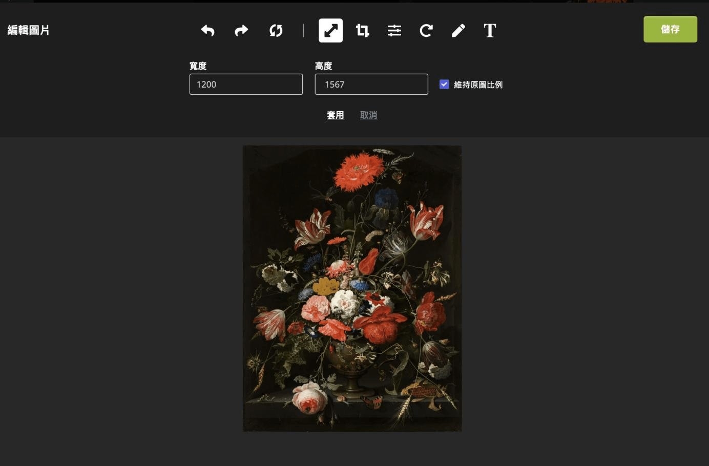 免費圖片編輯器 免費圖片編輯器
